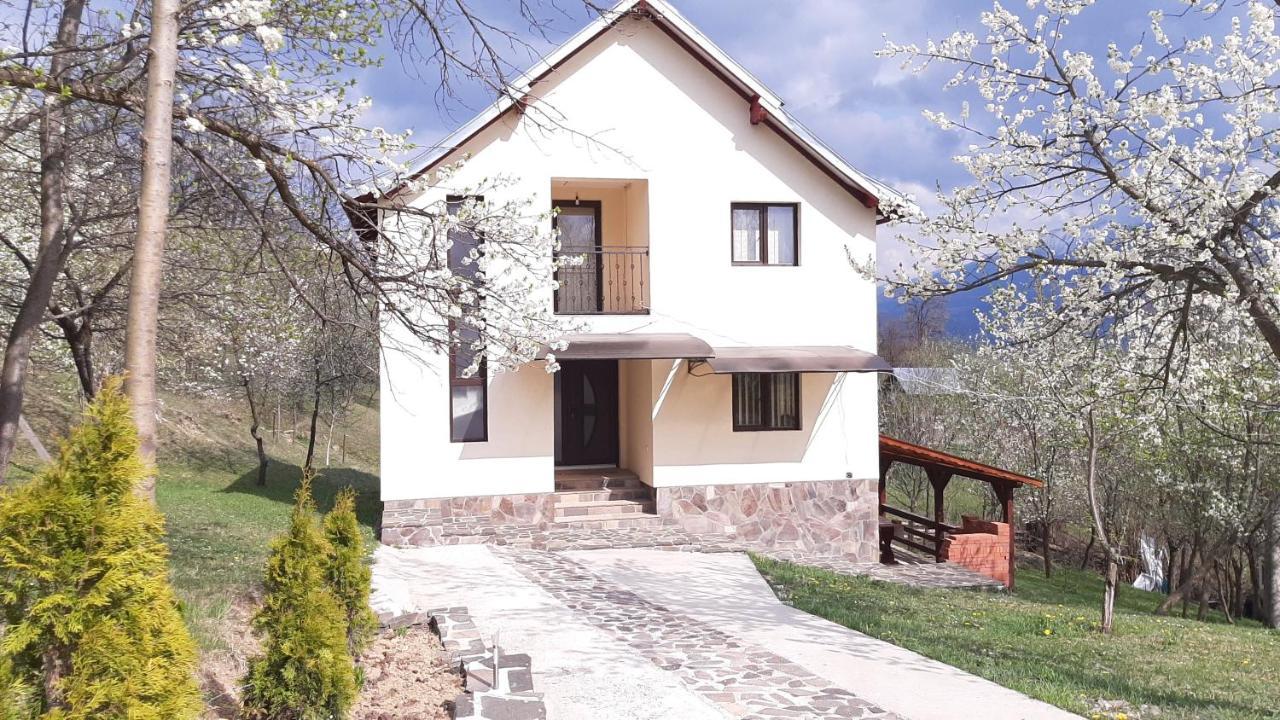 모이세이 Casa Flutar 빌라 외부 사진