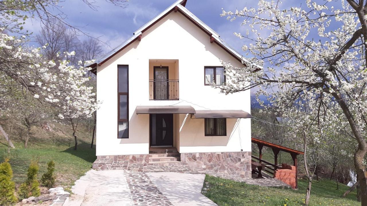 모이세이 Casa Flutar 빌라 외부 사진
