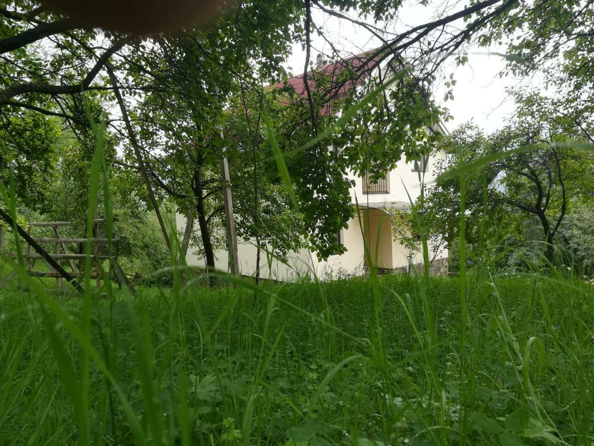 모이세이 Casa Flutar 빌라 외부 사진