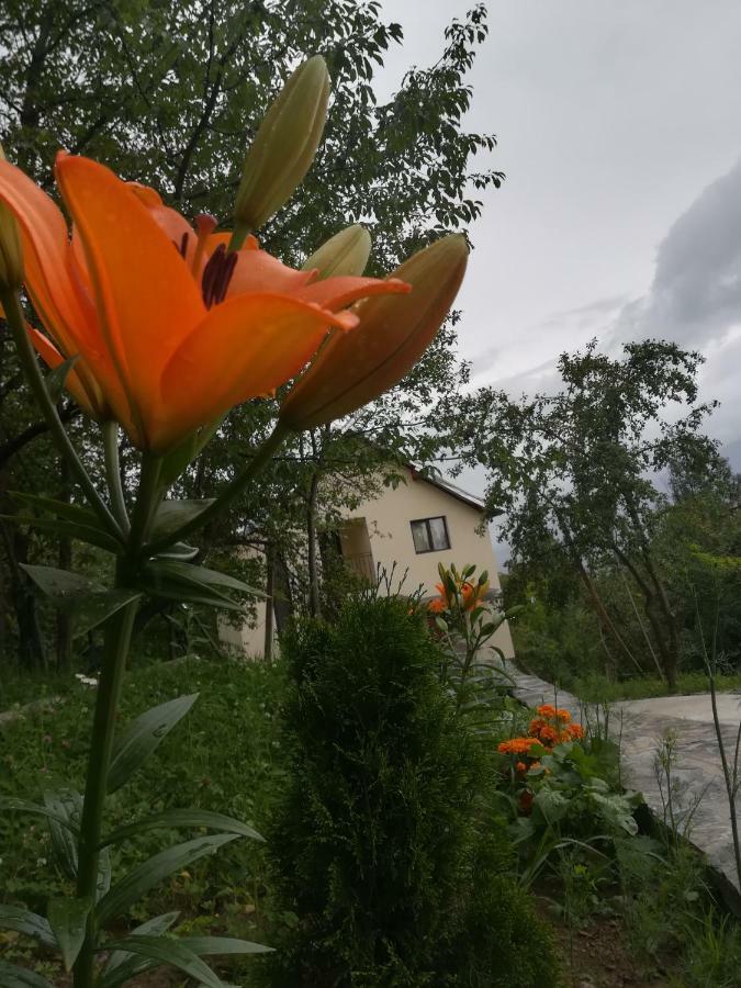 모이세이 Casa Flutar 빌라 외부 사진