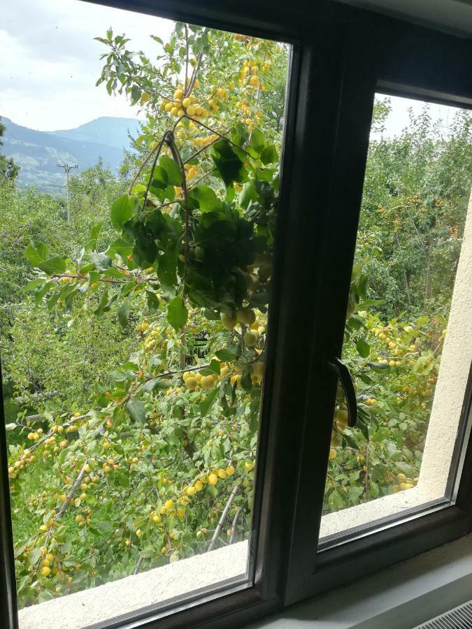 모이세이 Casa Flutar 빌라 외부 사진